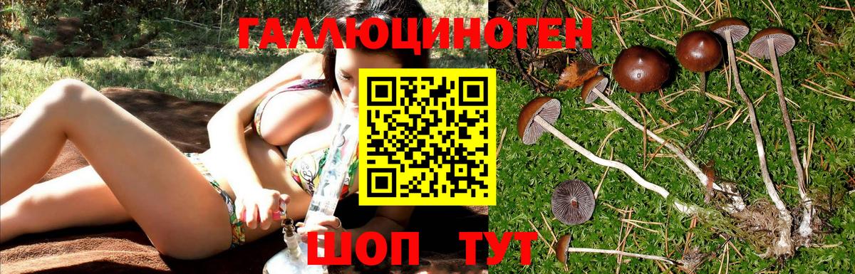 Псилоцибиновые грибы ЛСД  где купить наркоту  Бугульма  Вход с VPN 