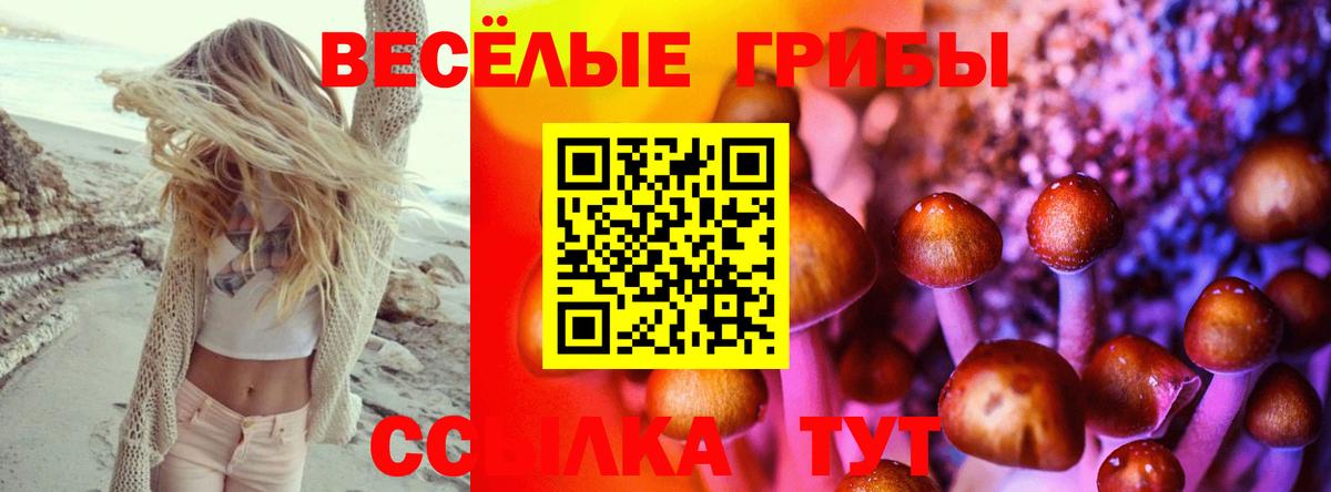 Псилоцибиновые грибы Psilocybine cubensis Бугульма